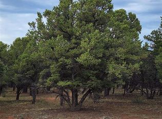 611 Pine Dr, Ridgway, CO 81432