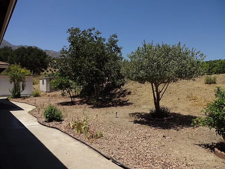 943 Oak Ave — Photo 14