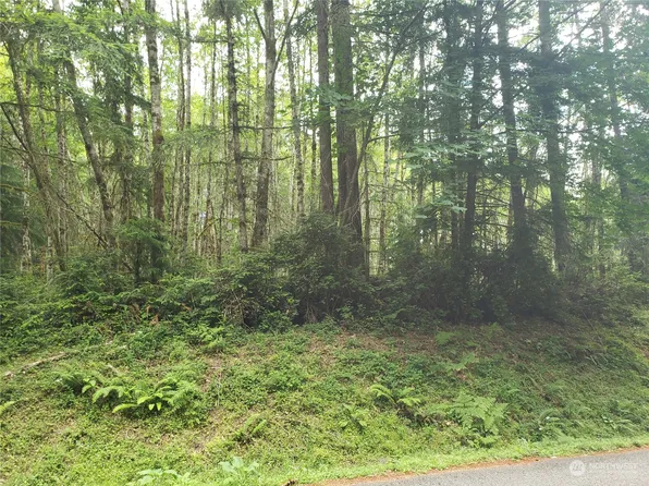 0 Haskel Hill Road, Shelton, WA 98584