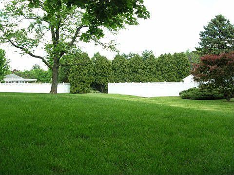Front Yard