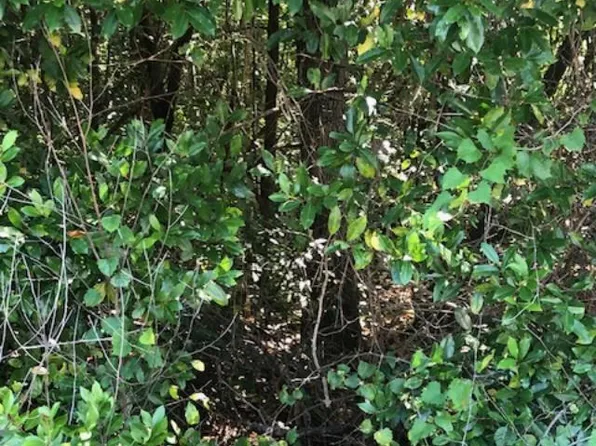 0 Sweetwater Ln, Barnwell, SC 29812