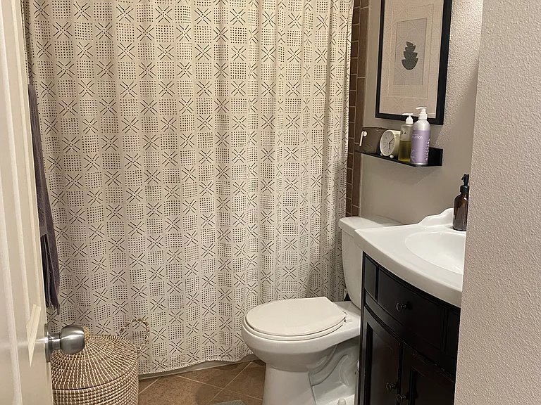 Shower curtain & rod will remain if you want them. Rug and other items will not.