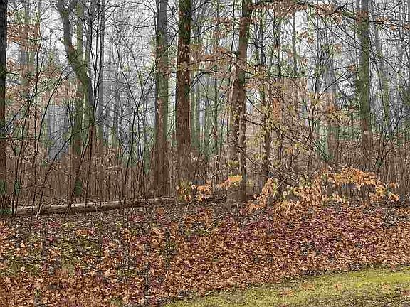 5th image of 35 Brightwater Ln