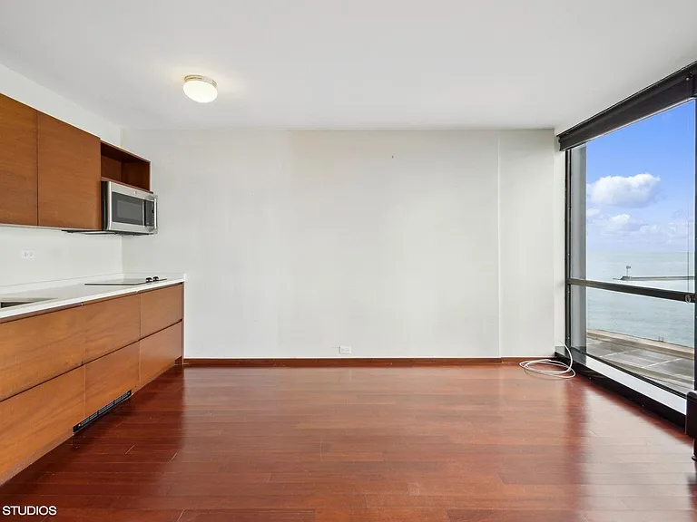 900 N Lakeshore Dr #514 — Photo 13