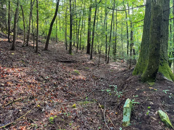 0 Tall Tree Trl #412, Dunlap, TN 37327