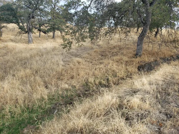 2275 Buena Vista Dr, La Grange, CA 95329