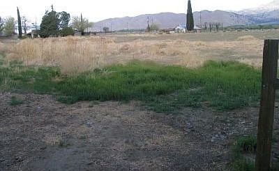 Fireplace with wood stove insert