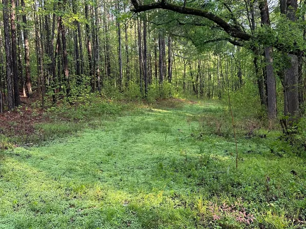 1433 Cleveland Farm Rd, Locust Grove, GA 30248