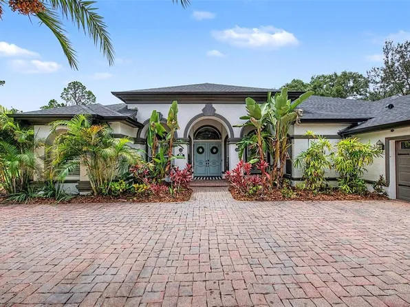 15532 LAKE GRACE DRIVE, ODESSA, FL 33556