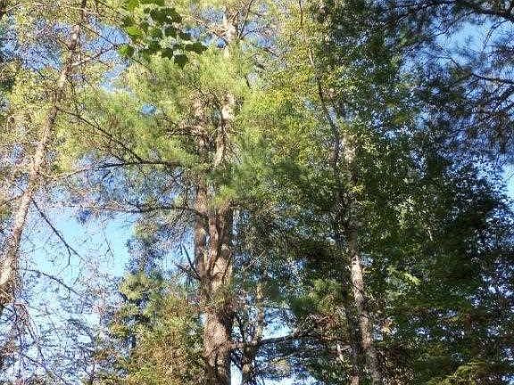 3rd image of xxxx Three Deer Haven Dr