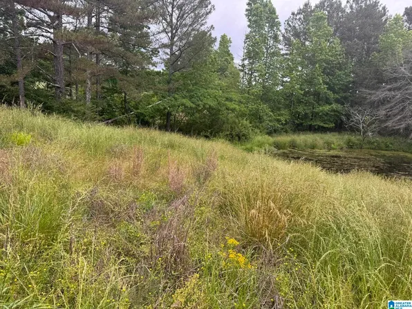 0 Busby Cutoff Rd #0, Nauvoo, AL 35578