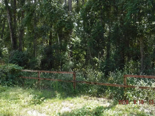 163 NE 159th Ave, Old Town, FL 32680