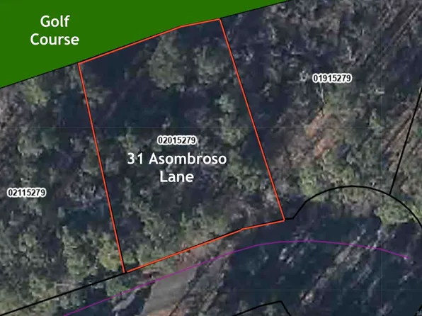 31 Asombroso Ln, Hot Springs Village, AR 71909