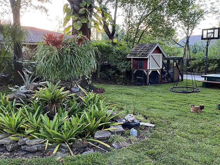 chicken coop
