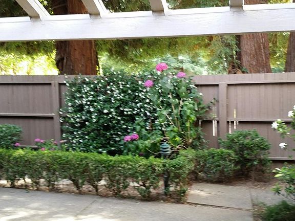 2nd image of 505 Elmhurst Cir