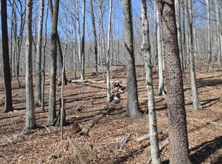 0 Shadow Creek Ln, Columbus, NC 28722