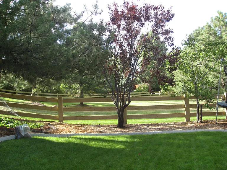 View of backyard with park beyond - north side