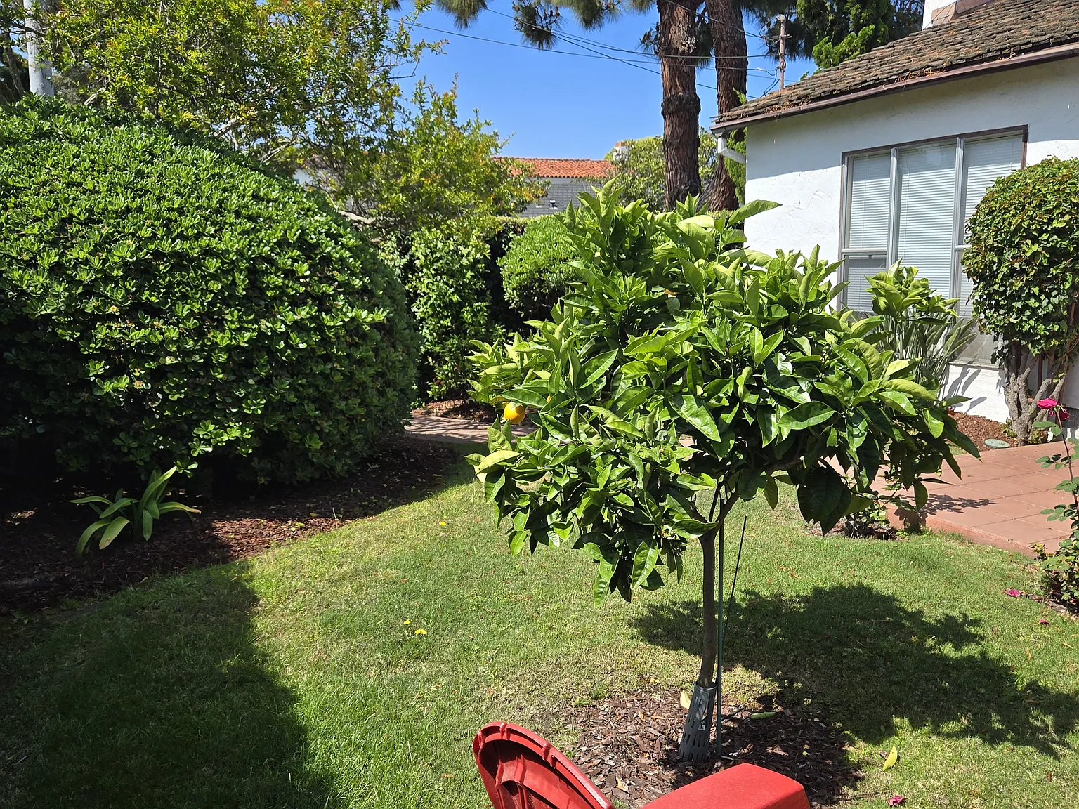 2 bed, 886 sqft, $5,000 — Photo 3