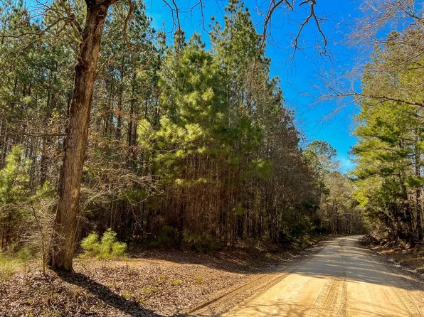 0 Howell Rd, Corrigan, TX 75939