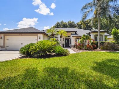 3827 Spruce Pine Dr, Valrico, FL, 33596