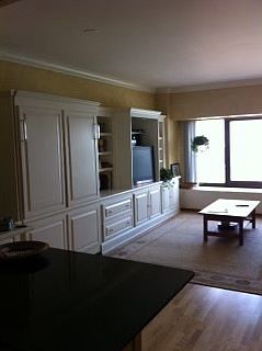 4th image of 175 E Delaware Pl APT 4807