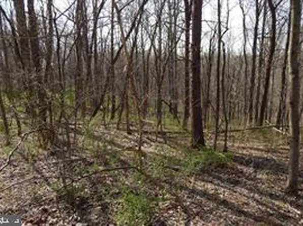 4 Spicy Cedar Ln, Berkeley Springs, WV 25411