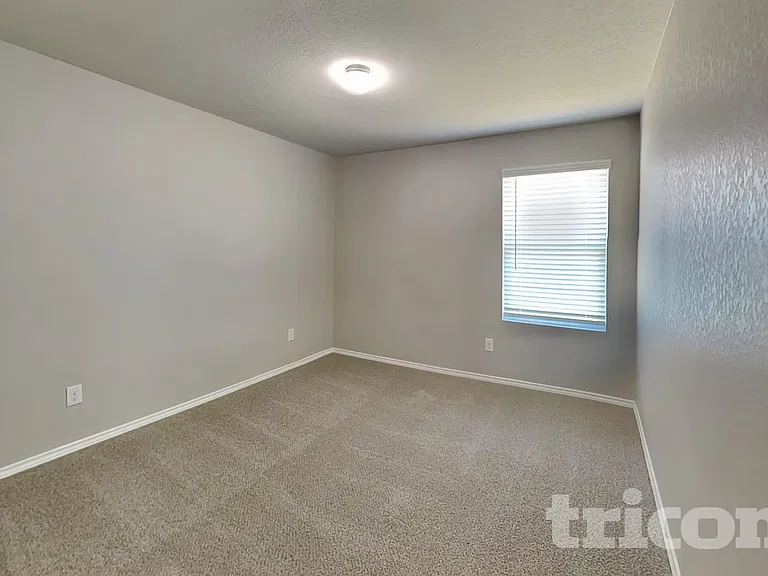 8506 Amistad Cv — Photo 10
