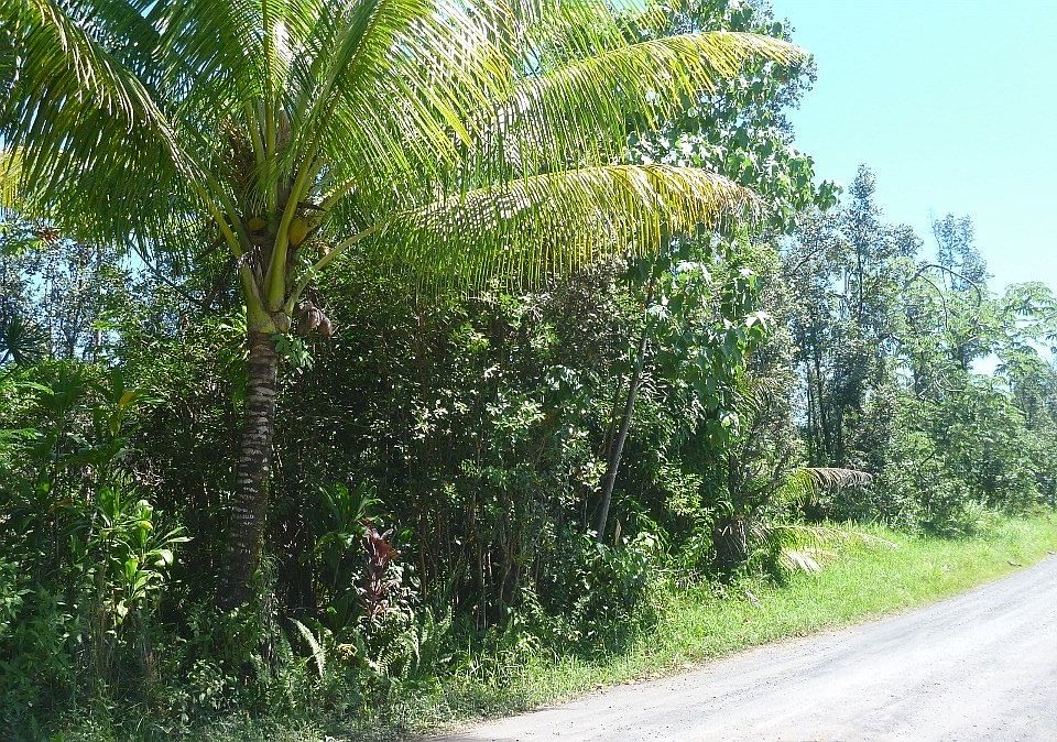 1st image of 14th Avenue Laamia Lot 1063