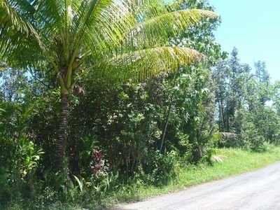 14th Avenue Laamia, Keaau, HI, 96749