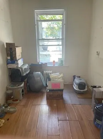 Studio, $2,200 — Photo 3