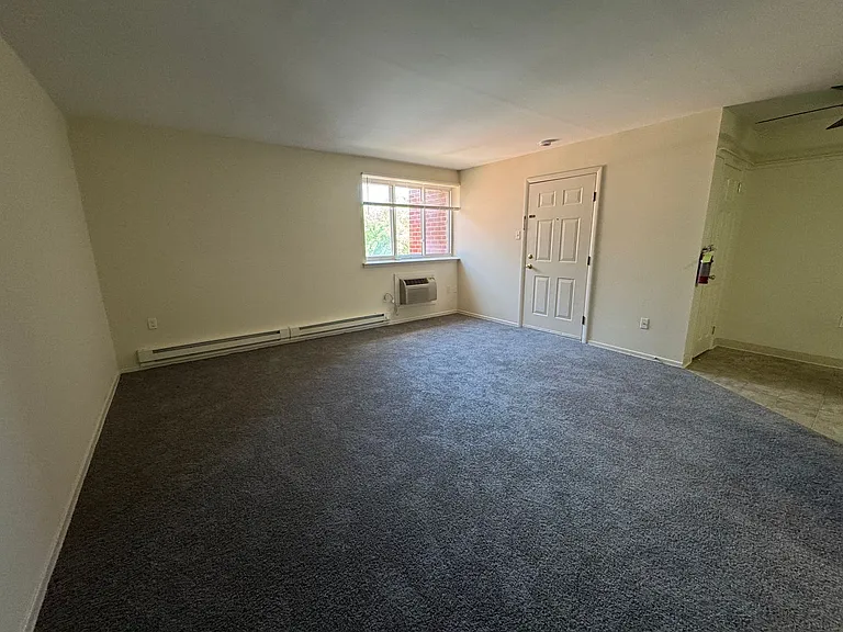 203 E Chestnut Street — Photo 15