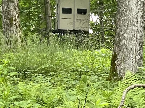 N8221 WEST LINE ROAD, Wittenberg, WI 54499