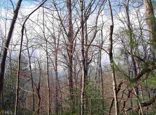0 Black Branch Rd, Rabun Gap, GA 30568