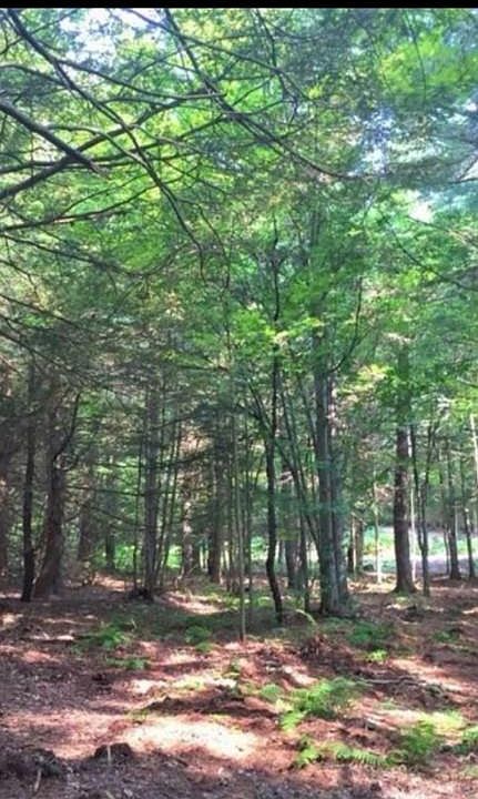 1st image of 0 Starkweather Hill Rd
