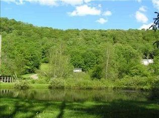 358 Benton Hollow Rd, Livingston Manor, NY 12758