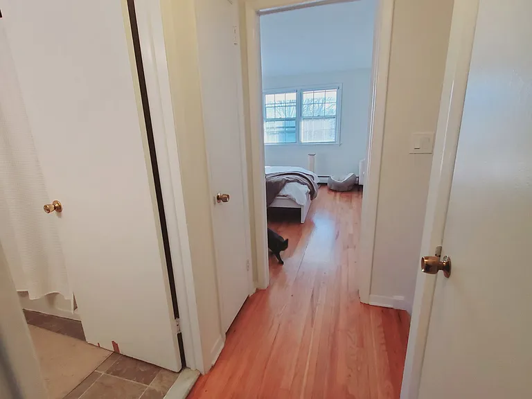 15 Elmwood St — Photo 6