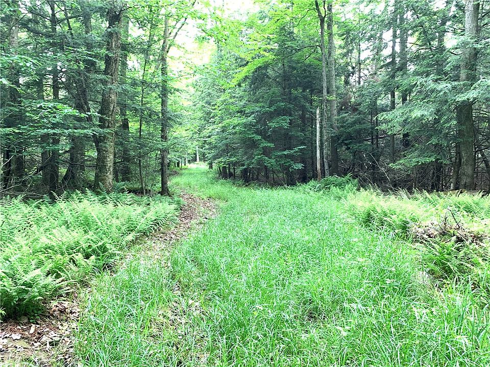 0 Windfall Rd, Genesee, PA 16923 Zillow