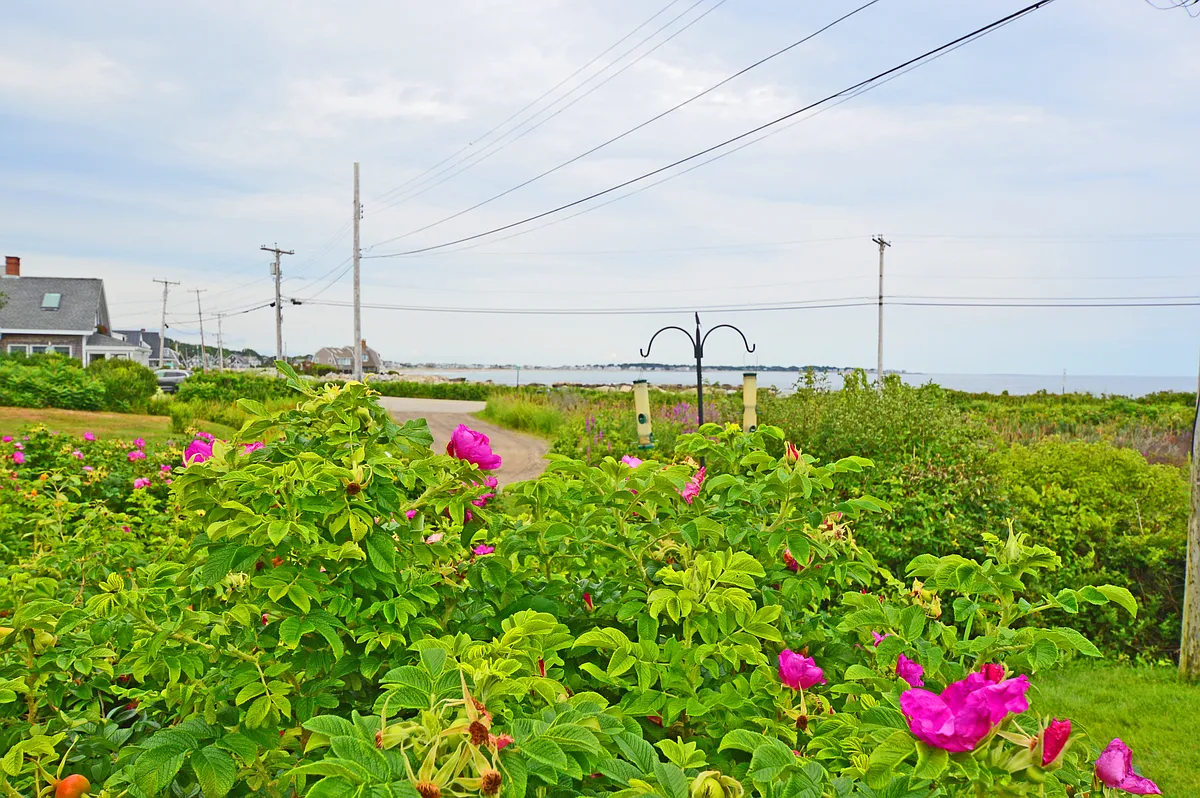View of Fortunes Rock Beach from the property - 26 Lily Pond Ave #1