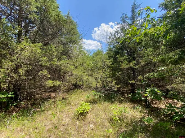 002-02958-000 County Road 35, Clarkridge, AR 72623