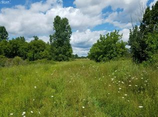 6311 Scott Rd, Mount Morris, MI 48458