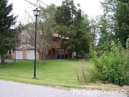 Back Yard
						:
						Past the bush on the right of the picture is the creek.