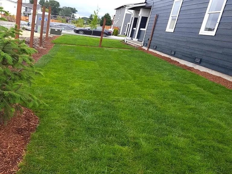 Side Yard