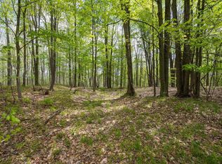 16130 140th Ave, Leroy, MI 49655