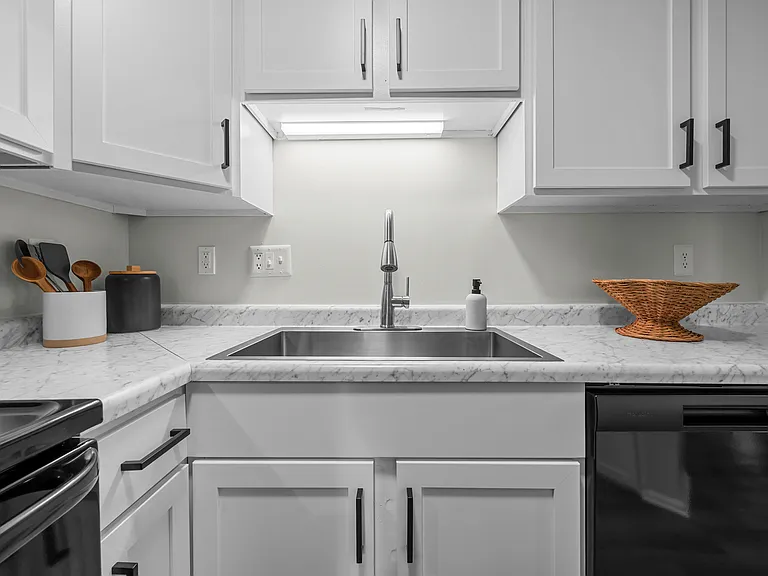 Modern Sink with Sprayer Faucet - Platinum Interior