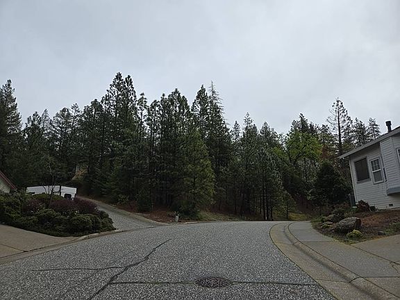 4th image of 238 Canyon Creek Cir