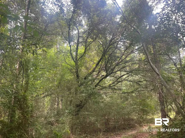 0 McDowell Rd, Bay Minette, AL 36507
