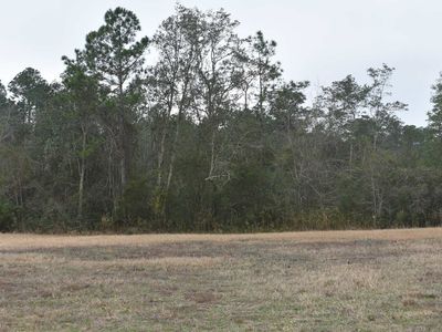 1600 Noir Ln, Cantonment, FL, 32533