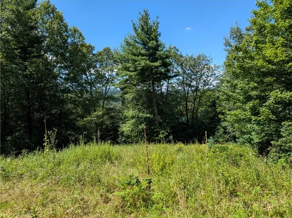 TBD Parkway Pointe Drive, West Jefferson, NC 28694