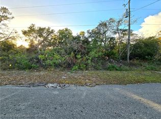 126 Marshall Ave, Lake Placid, FL 33852