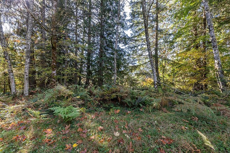 4th image of 32101 XX Kolisch Road E
